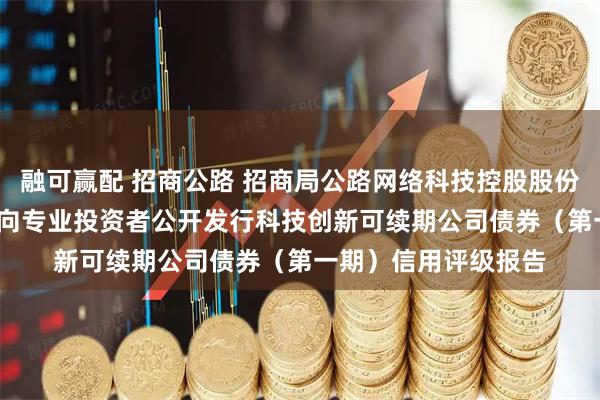 融可赢配 招商公路 招商局公路网络科技控股股份有限公司2025年面向专业投资者公开发行科技创新可续期公司债券（第一期）信用评级报告