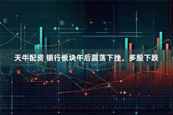 天牛配资 银行板块午后震荡下挫，多股下跌