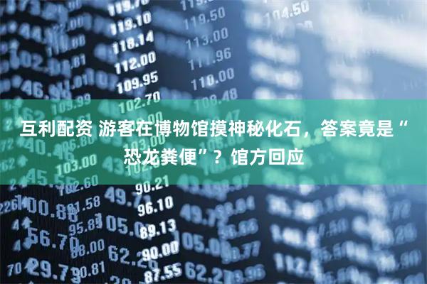 互利配资 游客在博物馆摸神秘化石，答案竟是“恐龙粪便”？馆方回应